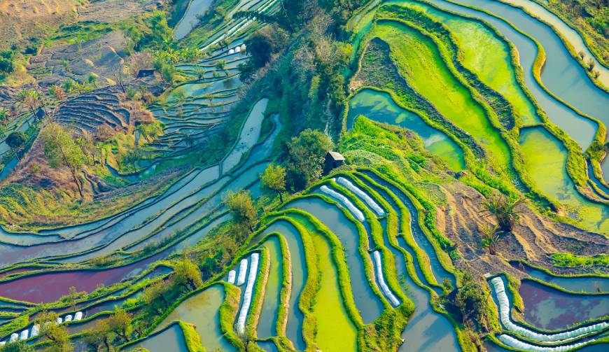 宝妈必备神器：泰顺县产品视频拍摄轻松育儿好帮手