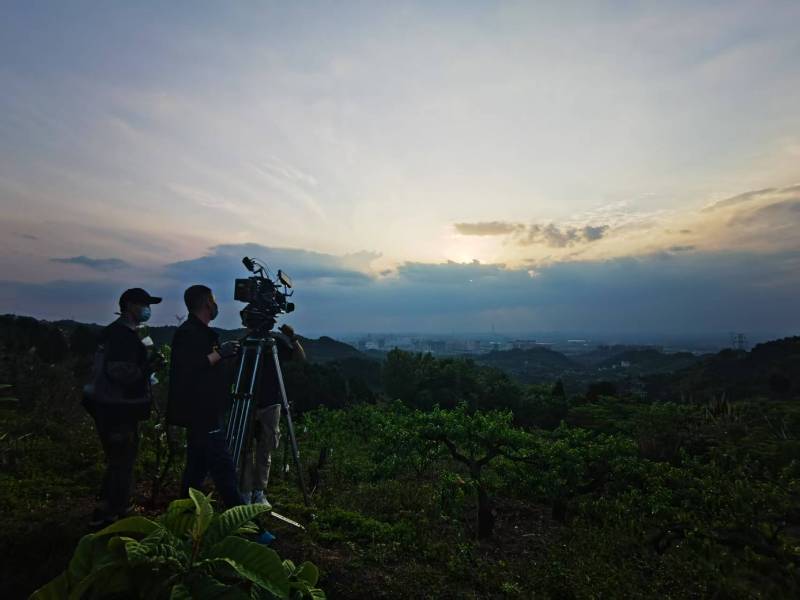 聚焦泰顺县产品宣传视频拍摄公司，用专业实力铸就品牌传播传奇