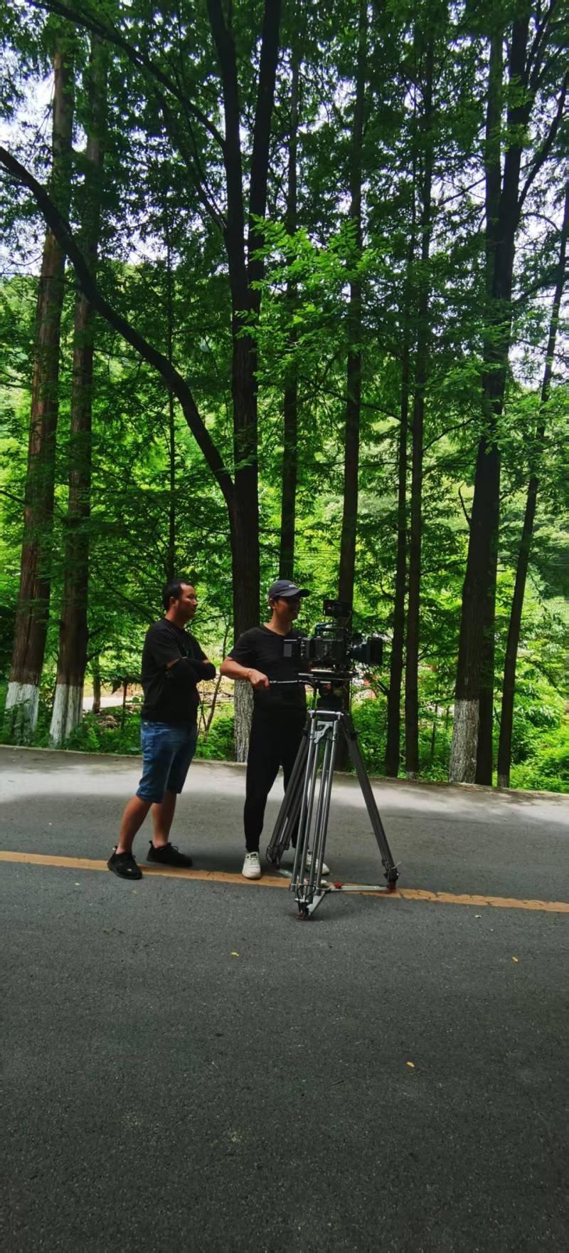 解锁泰顺县电商产品视频拍摄制作新路径，助力产品销量狂飙