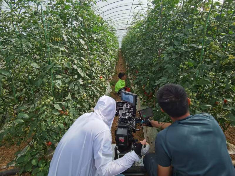 泰顺县产品宣传视频拍摄公司进阶指南，助力品牌抢占传播高地